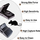 StrikeForce Rodent Trap