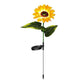 Warm Bloom LED