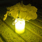 LED Mood Lights Bedroom Interior Decor Lighting (1pc)
